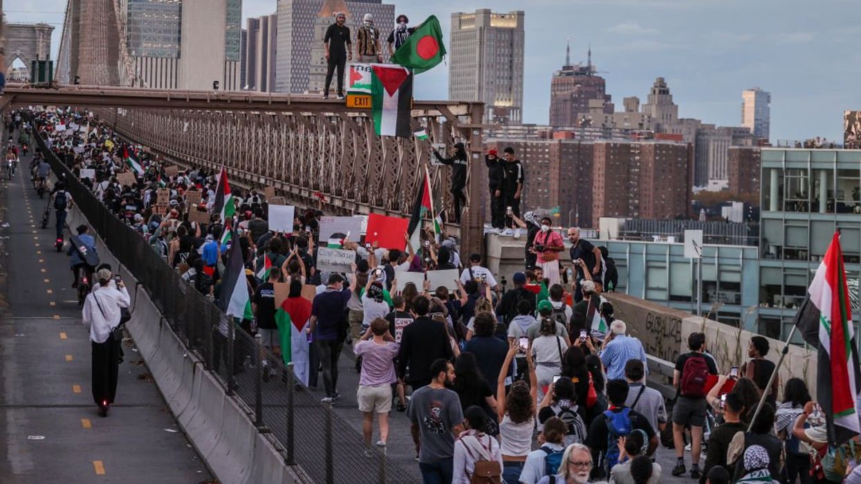 Thousands of pro-Palestine protesters and Jewish ceasefire advocates shut down Brooklyn Bridge, New York City's Grand Central Terminal