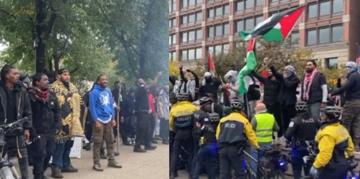 NextImg:Video: Black Hebrew Israelites and Palestinian supporters clash during pro-Gaza march in Chicago