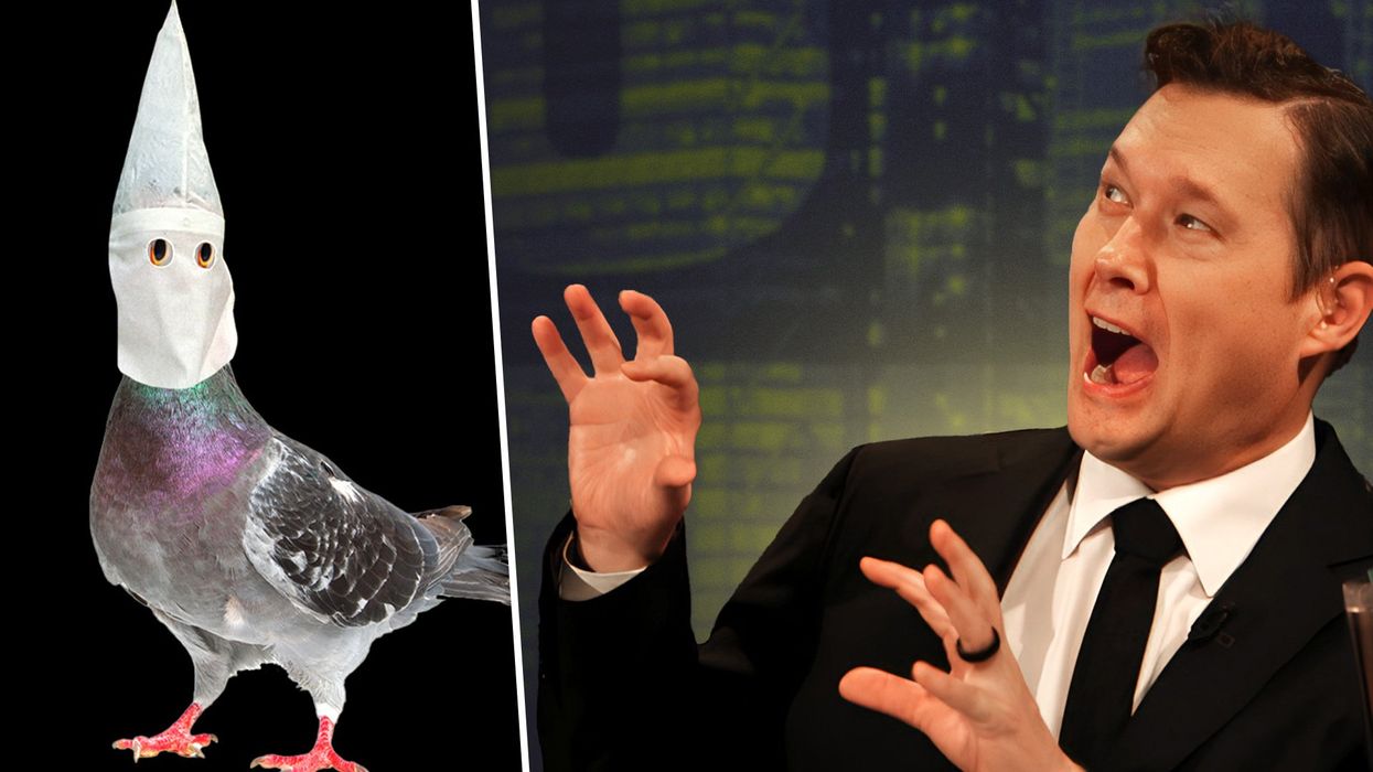 Fowl play: American Ornithological Society announces it’s renaming birds to avoid being racist