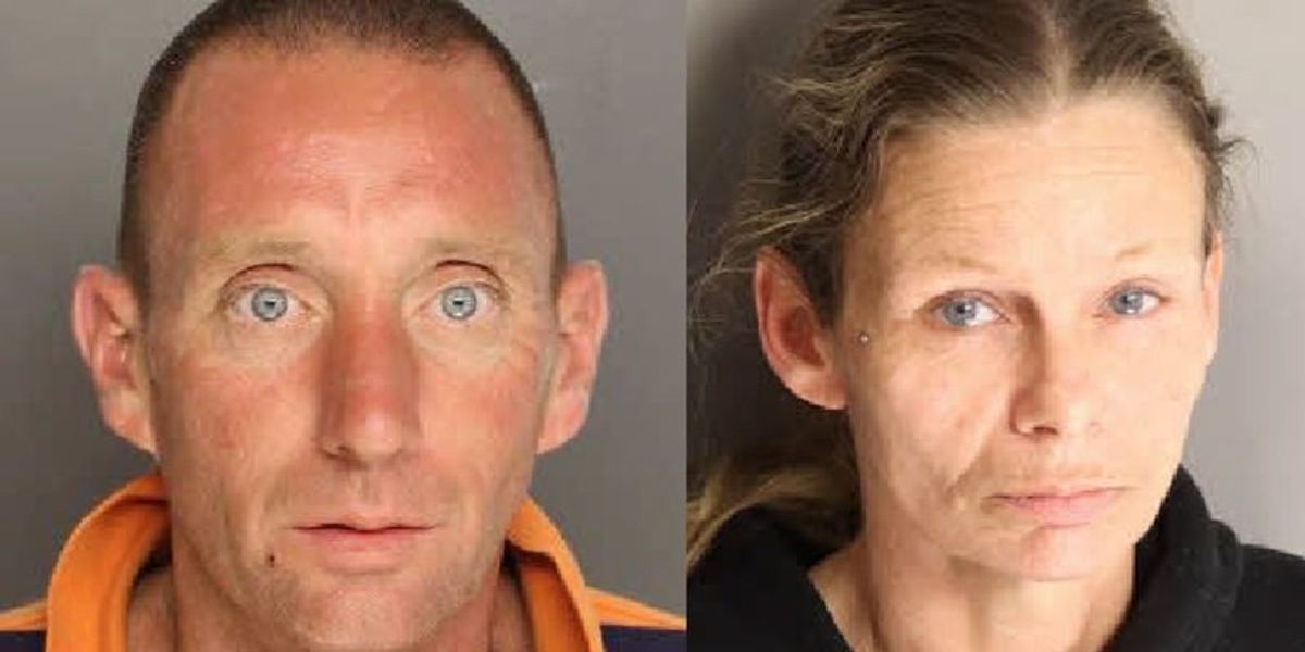 NextImg:2 dog owners arrested after pit bulls maul South Carolina man to death | Blaze Media