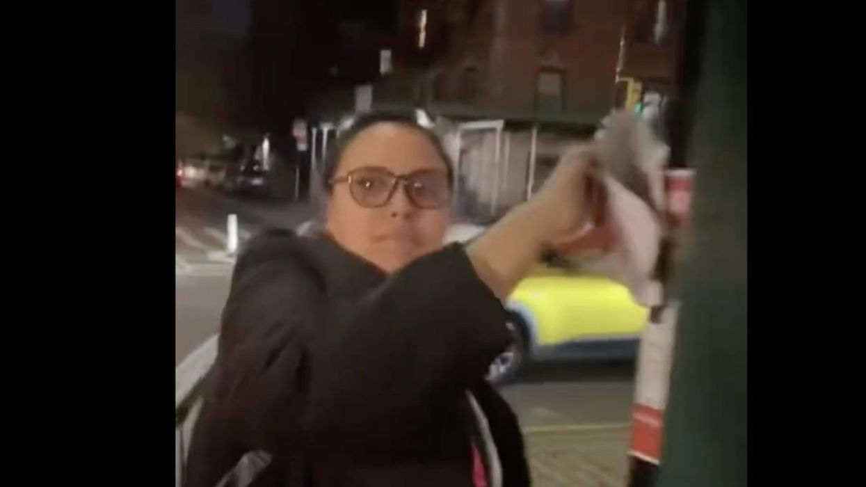 New York County public defender caught on video tearing down posters of Israeli hostages — and she just resigned