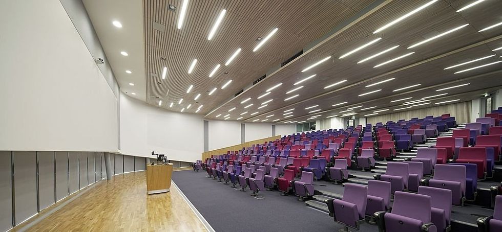 University of Exeter professor backs Hamas' attacks‚ says group 'had to act‚ and quickly so'