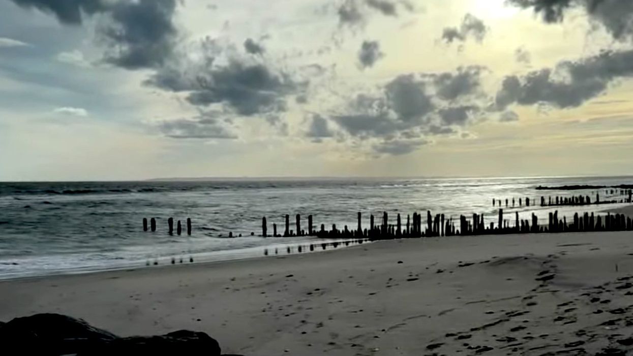 Headless, dismembered torso washes up on NYC beach, police reportedly believe natural causes led to mutilation