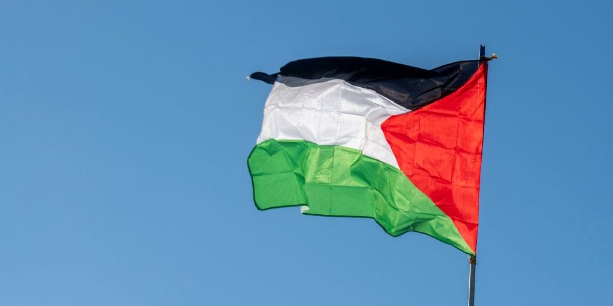 NextImg:Pro-Israel teacher forced to hide after Palestinian-supporting students cause anti-Semitic riot at New York City high school | Blaze Media