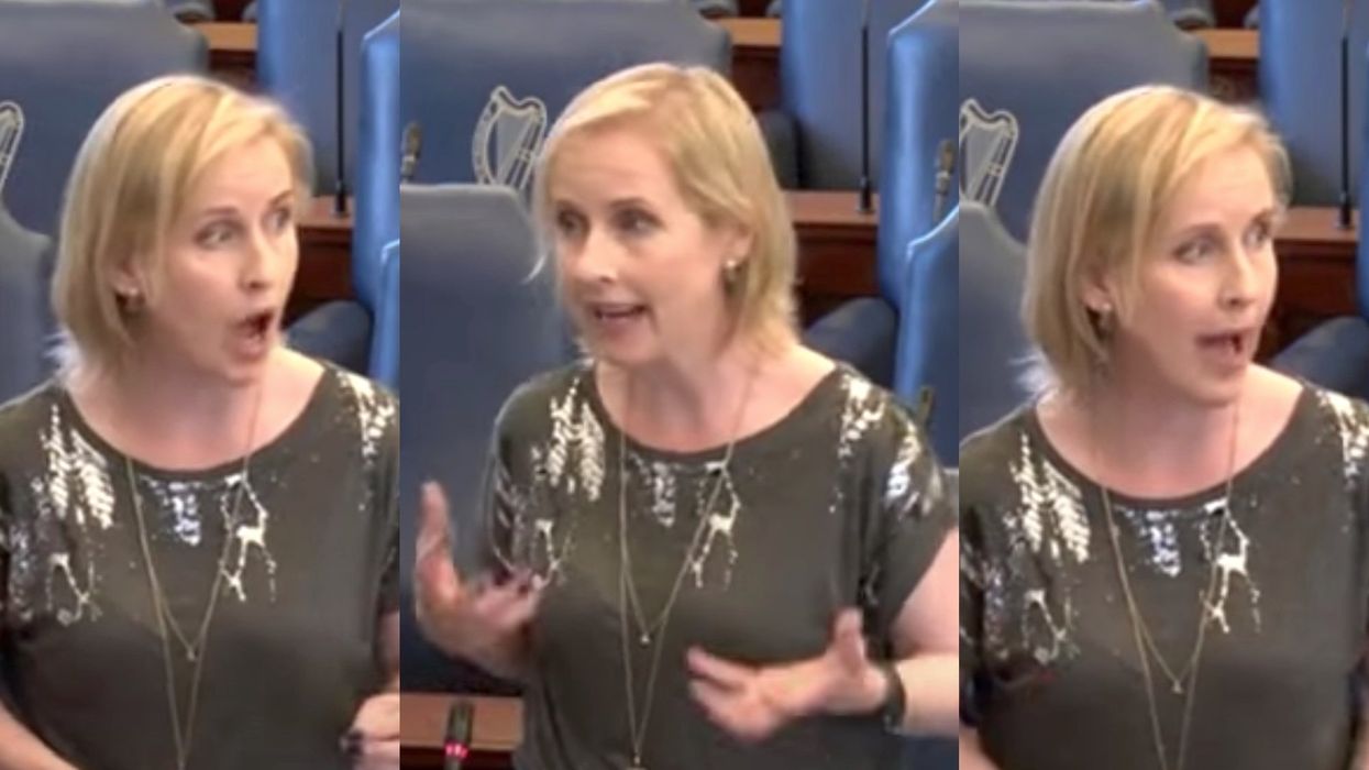 Green Party politician pushes law restricting free speech 'for the common good' in resurfaced viral video from Ireland