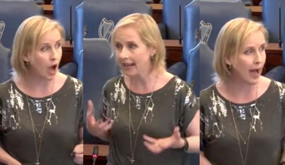 Green Party politician pushes law restricting free speech 'for the common good' in resurfaced viral video from Ireland