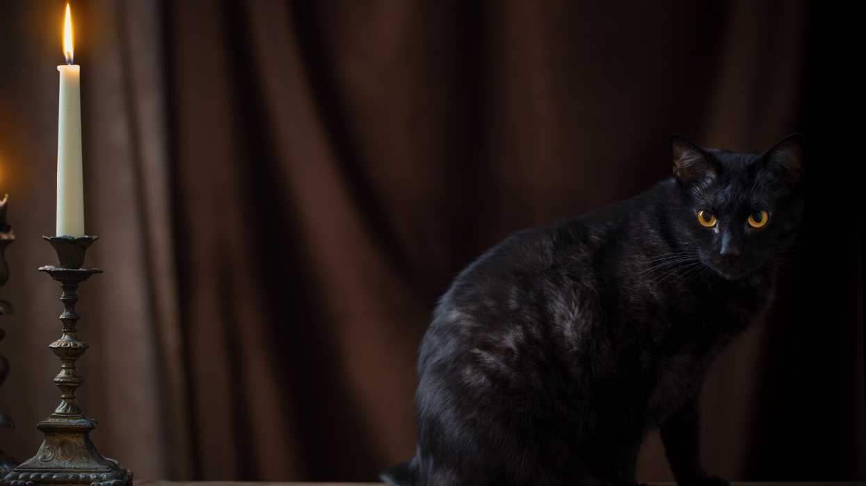 Millennials seek an escape from modernity with fantasy and magic