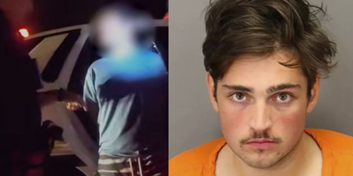 NextImg:Man reportedly 'sexually molested' manatee statue at Florida restaurant, threw gator nuggets, caused traffic jam | Blaze Media