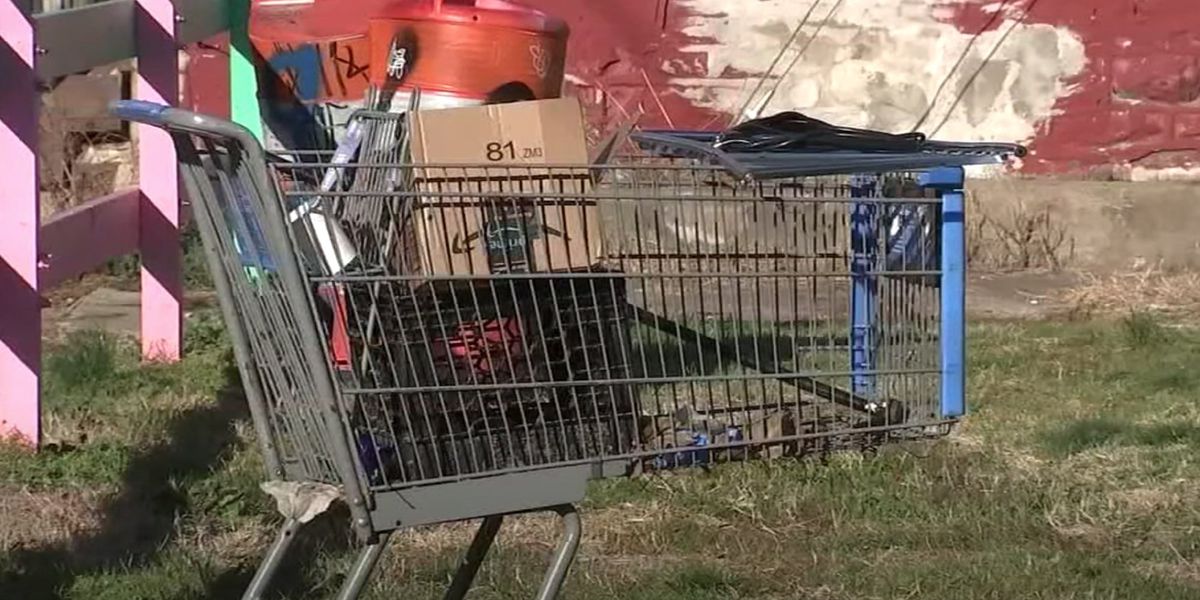NextImg:Dead man found in shopping cart with trail of blood leading to abandoned home, Philadelphia police say | Blaze Media