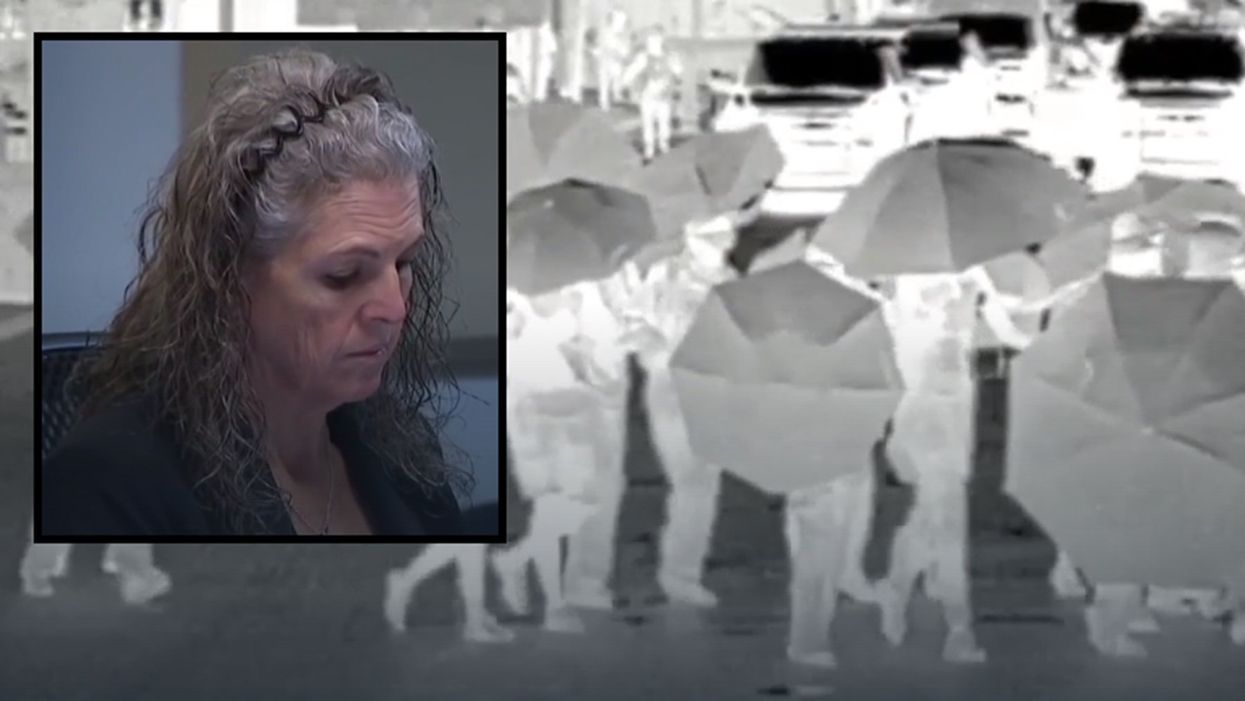 Pro-police attorney has law license suspended after accusing BLM protestors of being in gang she and cops likely made up