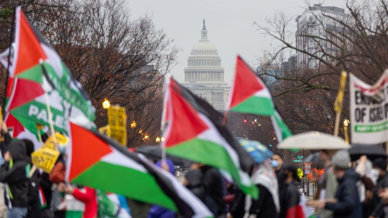 Pro-Palestinian activists tried to host protest at Holocaust Museum but are forced to cancel: 'Stop the Genocide in Gaza'