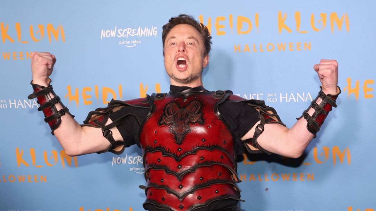 Elon Musk describes DEI as racist: 'DEI ... is not merely immoral, it is also illegal'