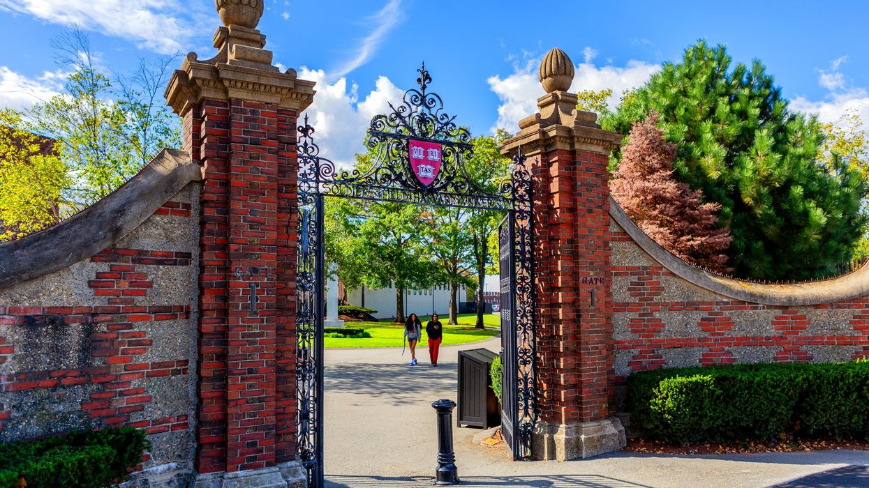The real story of Harvard isn’t Claudine Gay’s firing