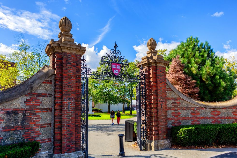 The real story of Harvard isn’t Claudine Gay’s firing