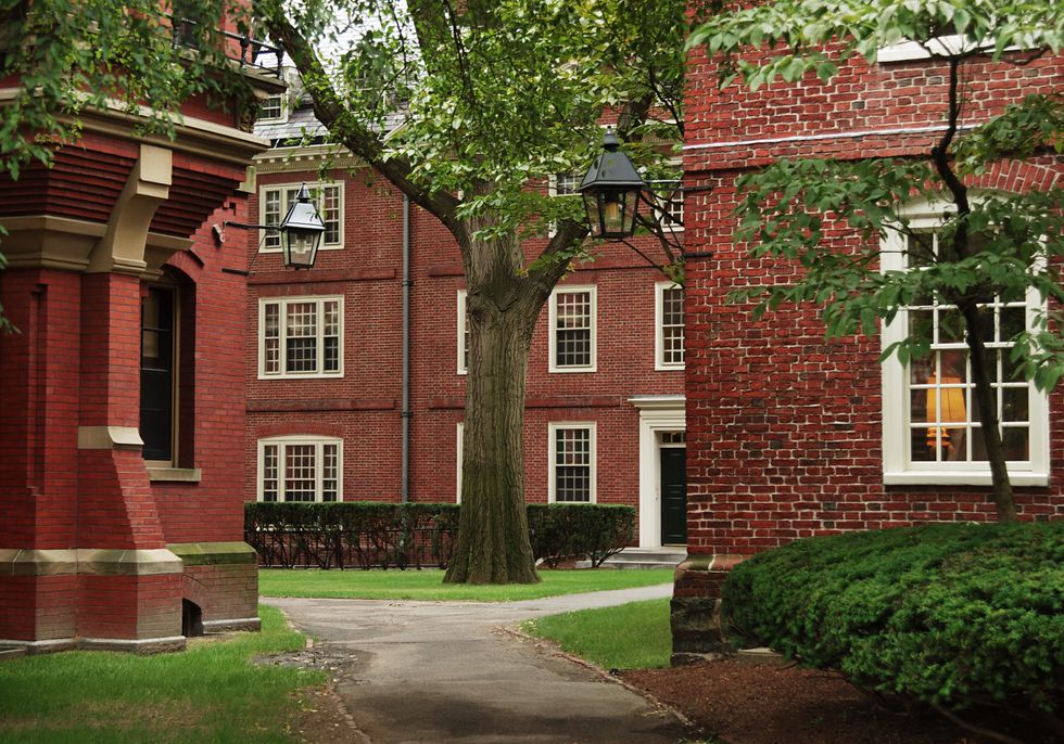 Her truth‚ her Harvard‚ her failure