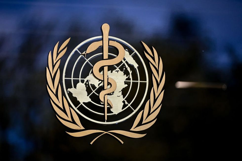 Transvestite who wants puberty blockers as 'default option' for kids joins other radicals on WHO task force