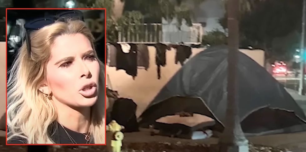 Los Angeles woman says city ignored neighborhood being terrorized by homeless camp‚ so she took matters in her own hands