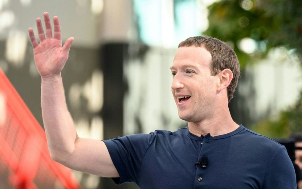 Mark Zuckerberg says cattle he's raising on a Hawaiian island will 'grow up eating macadamia meal and drinking beer'