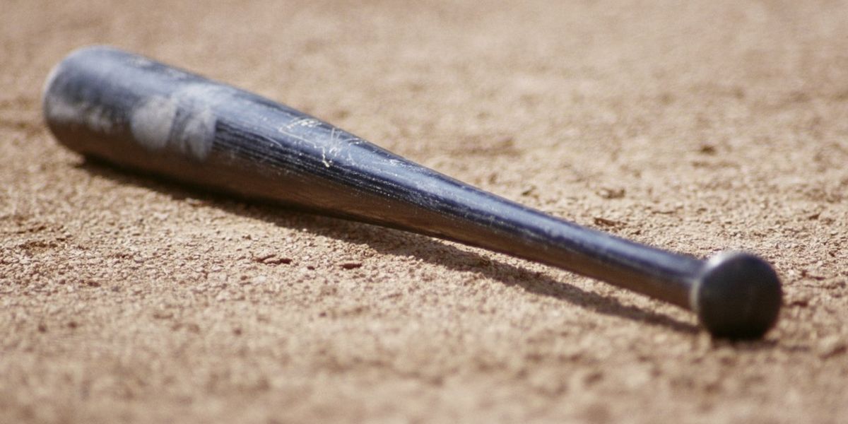 Canadian cops charge victim of bat attack with aggravated assault after ...