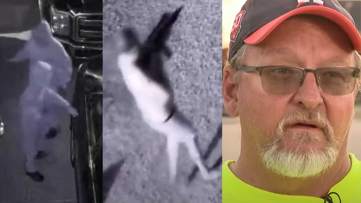 Alleged car burglars scurry away in a hurry after Texas man confronts them with AR-15: 'I’m just not taking it anymore'