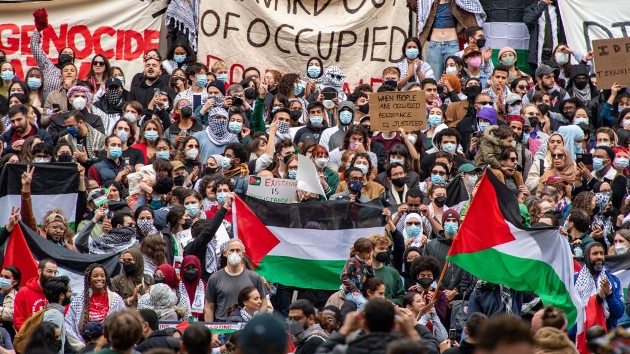 Pro-Palestine faculty and staff at Harvard form group slamming 'unfolding genocide in Gaza'