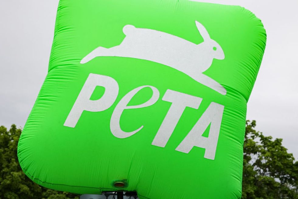 Oklahoma official trolls PETA by taking bite out of burger as group advocates placing 'Ten Vegan Commandments' in schools