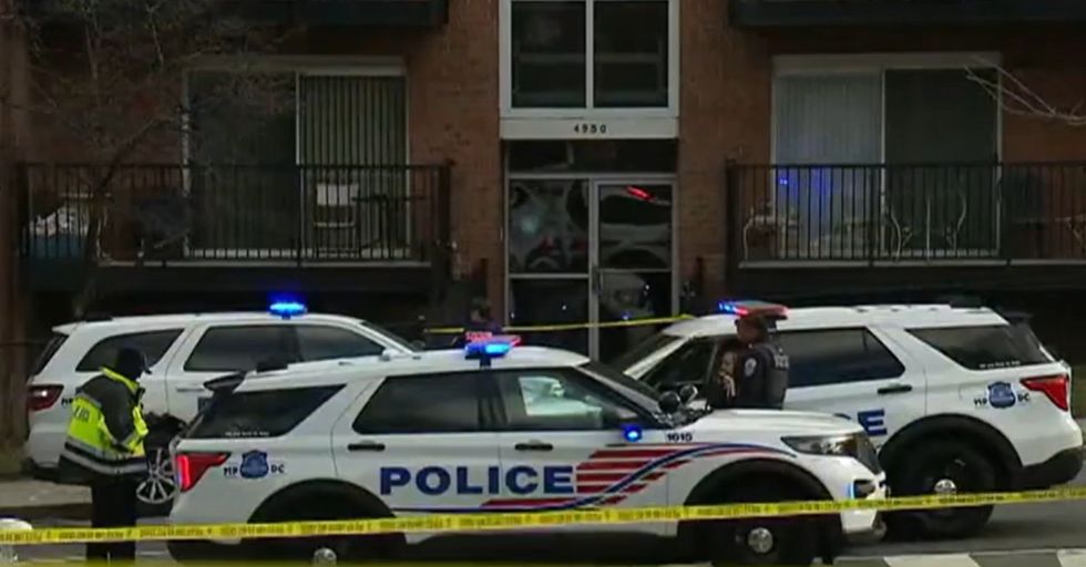 Animal cruelty suspect in DC opens fire and wounds 3 cops‚ prompting ongoing police standoff with occasional gunfire