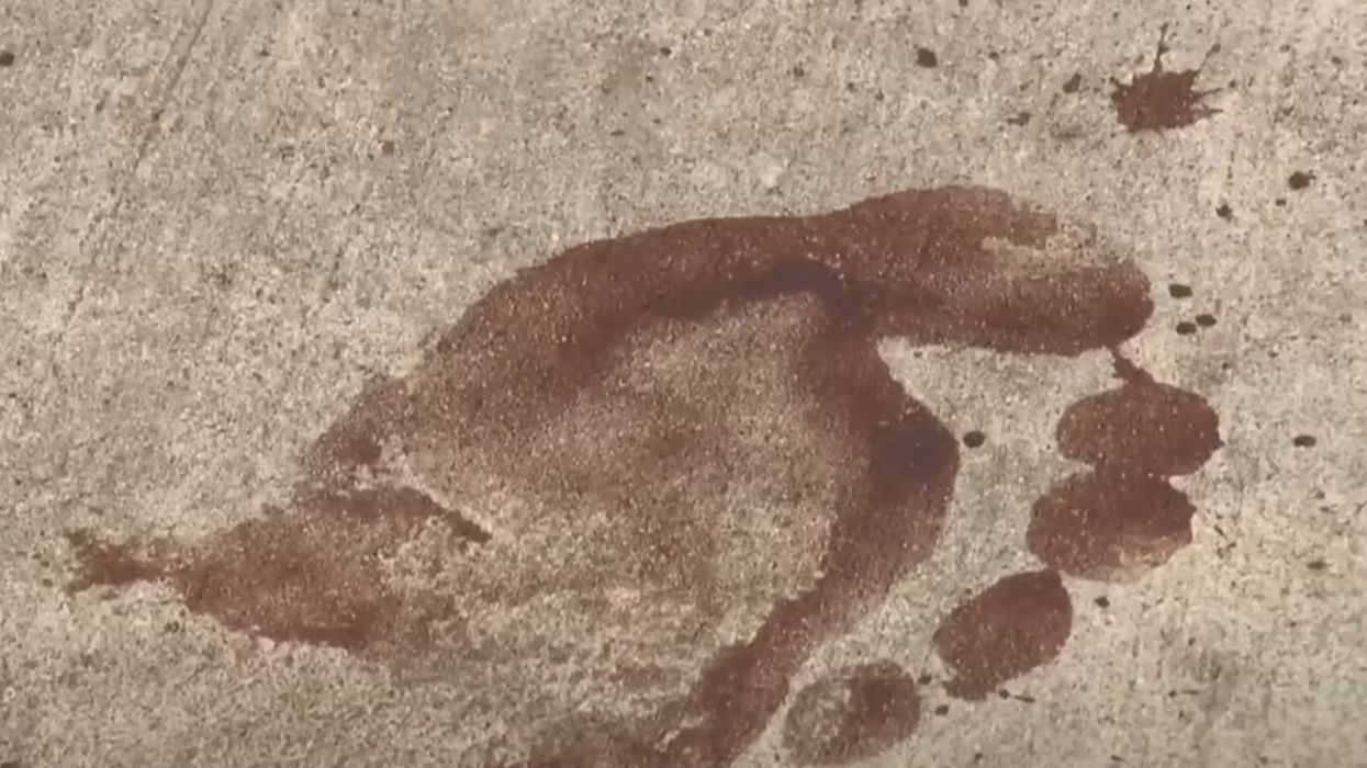 Neighbors describe gruesome scene after man allegedly attacks his sister and mother with a machete in Houston