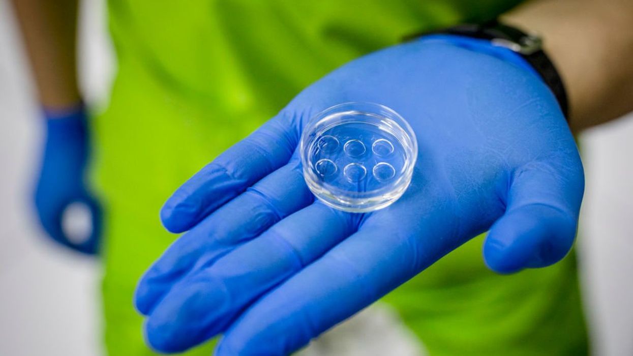 Frozen embryos are children, Alabama Supreme Court rules: 'Human life is an endowment from God'