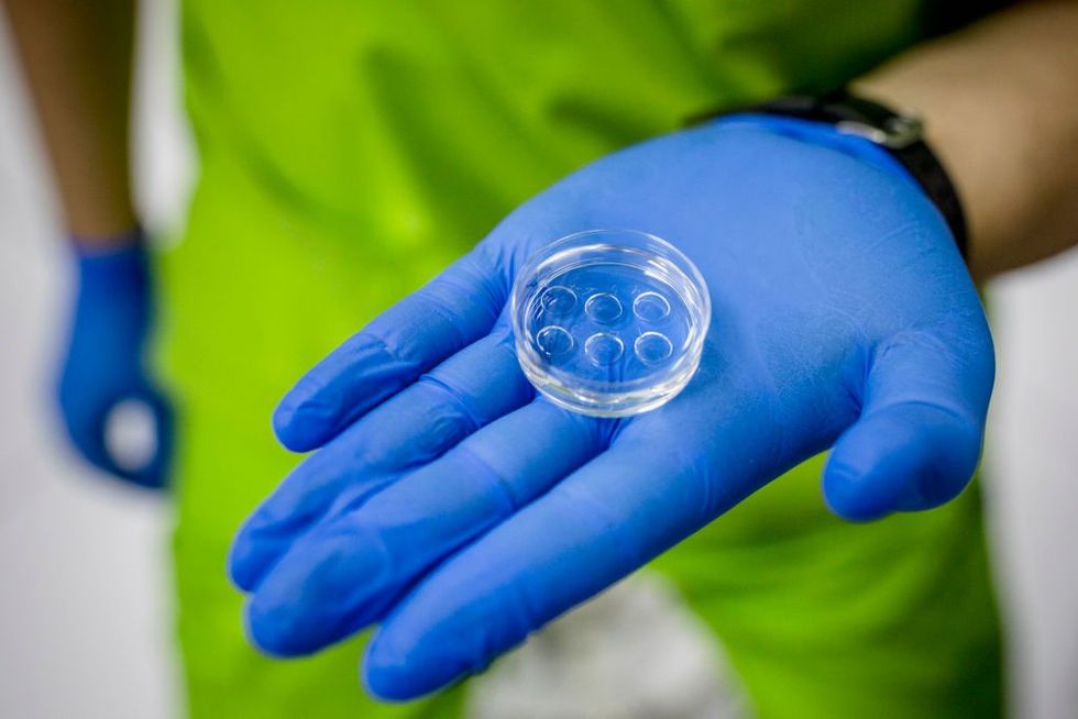Frozen embryos are children‚ Alabama Supreme Court rules: 'Human life is an endowment from God'