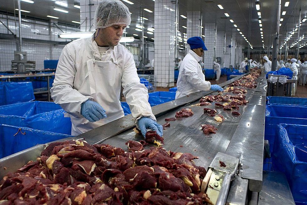 New York files 'greenwashing' lawsuit against beef producer‚ claiming it 'falsely' advertised sustainability commitments