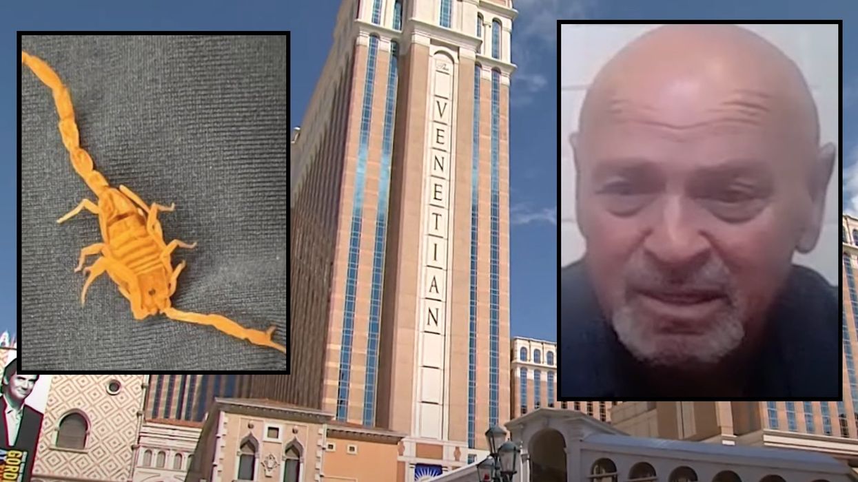 Man says scorpion stung his testicles while he slept at Las Vegas resort hotel, considering lawsuit