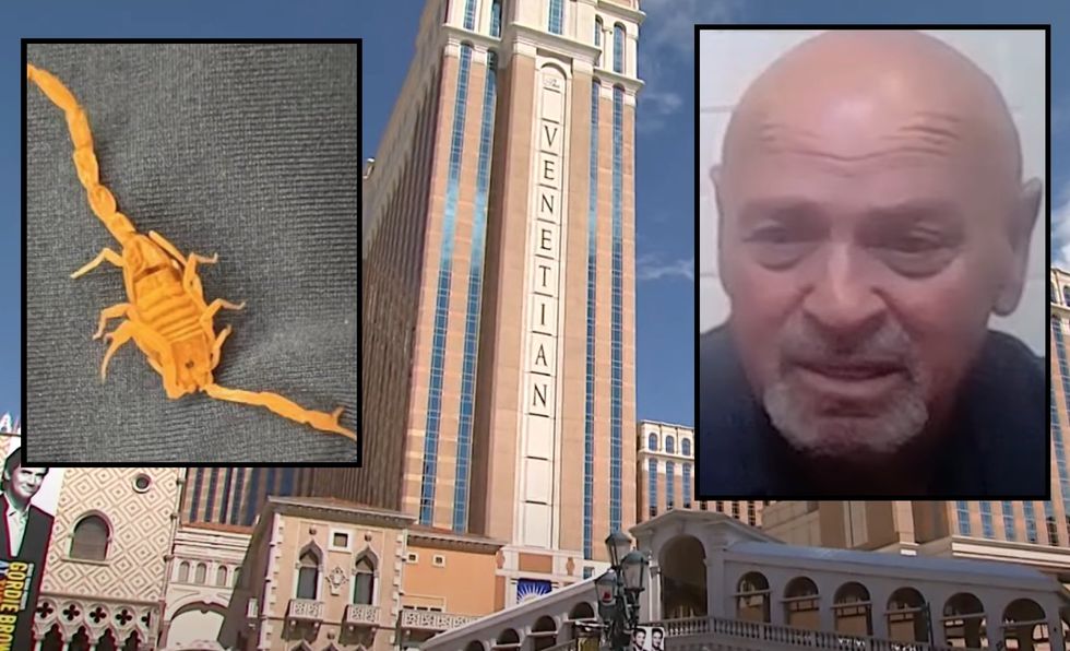 Man says scorpion stung his testicles while he slept at Las Vegas resort hotel‚ considering lawsuit
