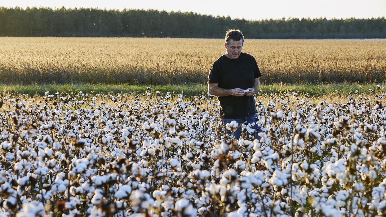 Provisions: American Giant