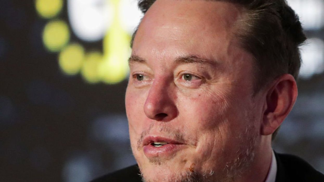 'Most Americans are still unaware': Musk notes that illegal immigrant population impacts number of House seats each state has