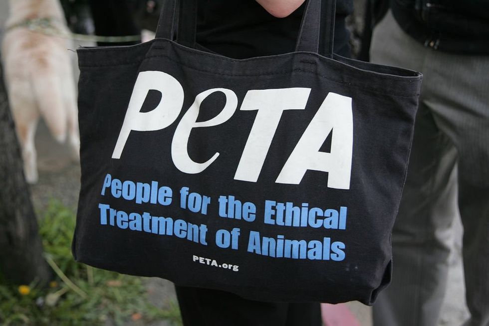 PETA proposes White House Easter egg roll use potatoes instead