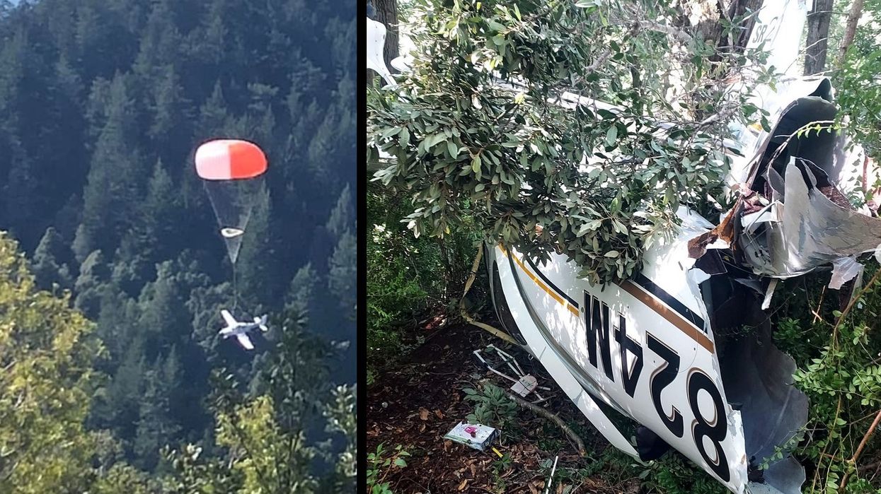 Plane containing a couple and a 2-year-old crashed into the woods. A single parachute made all the difference.