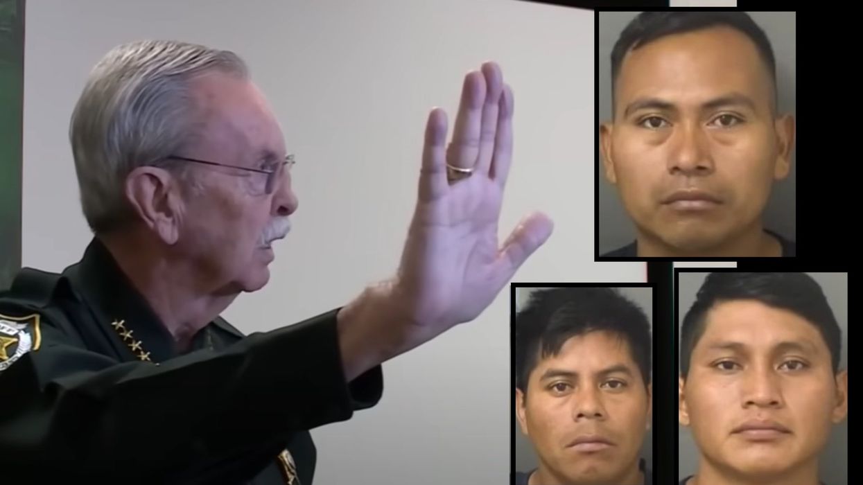 Florida sheriff blames 'idiots in Washington, DC,' for 3 illegal aliens who allegedly assaulted woman: 'They shouldn't be here!'