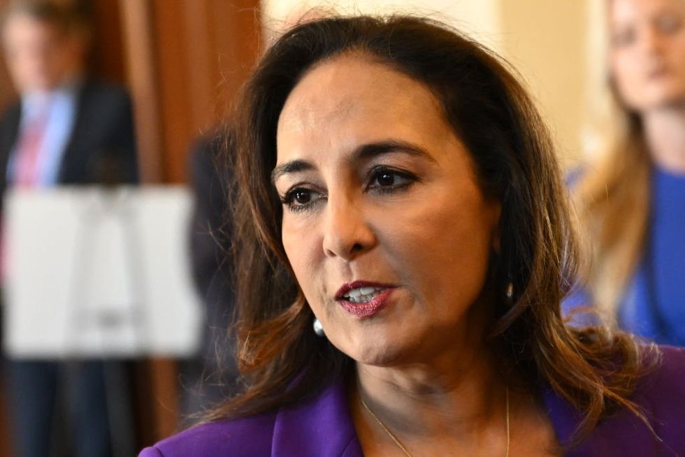 Harmeet Dhillon says illegal alien totaled her car in 2007