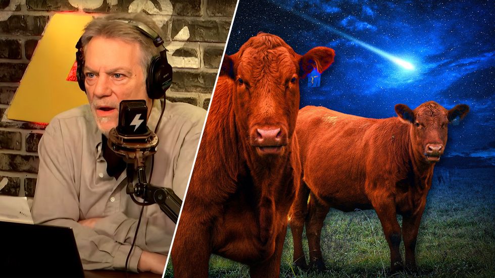 'Apocalypse Now'? Solar eclipse‚ 'Devil Comet' &; Red Heifer prophecy