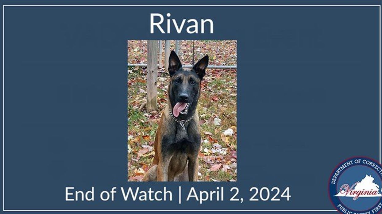 Heroic K-9 killed by incarcerated MS-13 members, Virginia Department of Corrections says