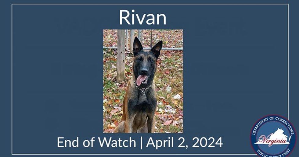 Heroic K-9 killed by incarcerated MS-13 members‚ Virginia Department of Corrections says