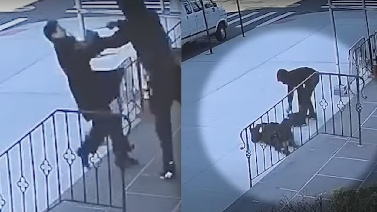 'Pure evil': Creep shoves woman, 68, down church steps as she's on her way to Mass — then steals her purse and her car