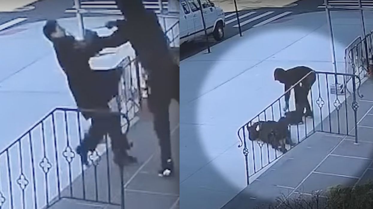 'Pure evil': Creep shoves woman, 68, down church steps as she's on her way to Mass — then steals her purse and her car