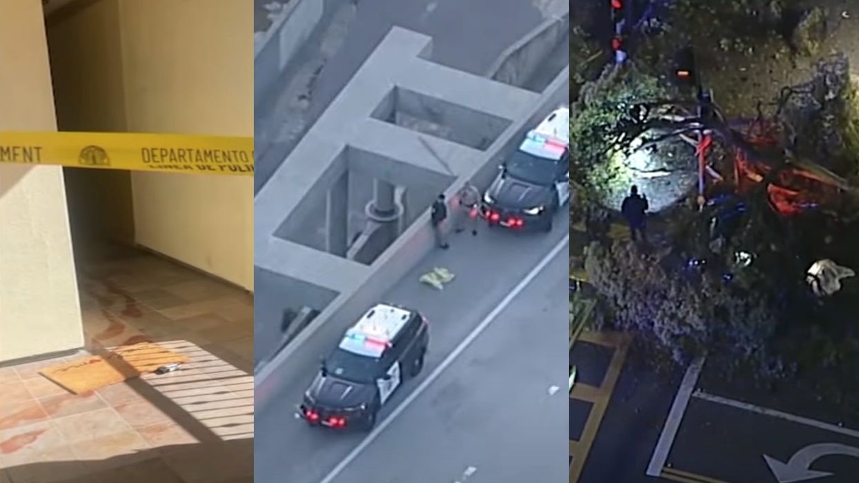 California woman allegedly stabbed boyfriend, pushed her children out of moving car onto freeway, and then killed herself