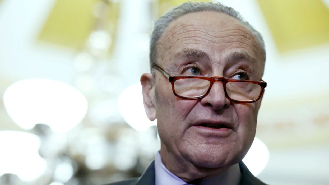 Senate Democrats put kibosh on Mayorkas impeachment push, scrapping articles as unconstitutional