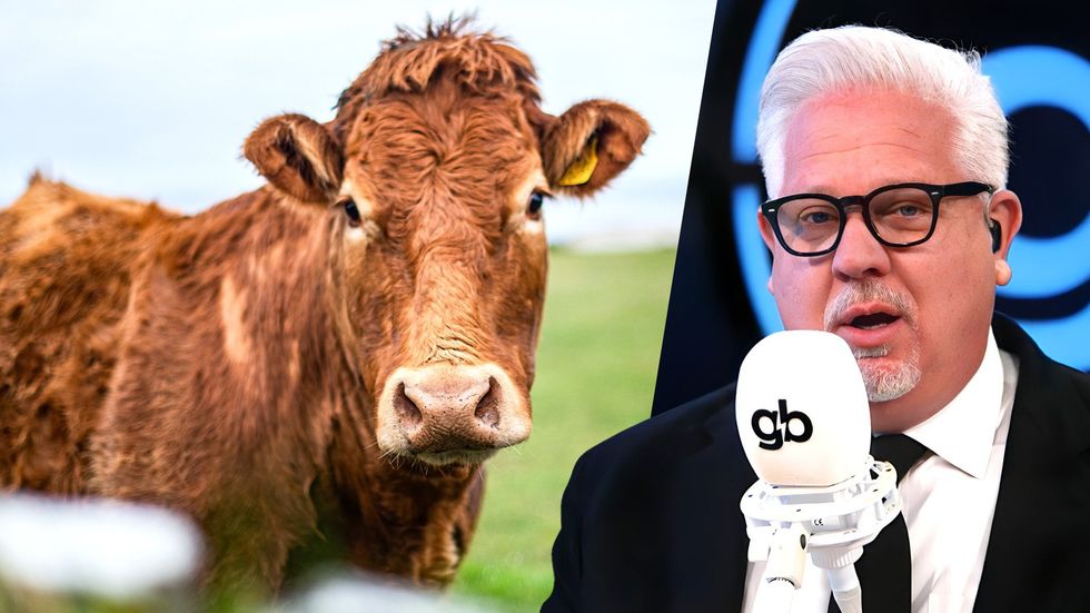 What happens if Israel sacrifices a red heifer&;#63;