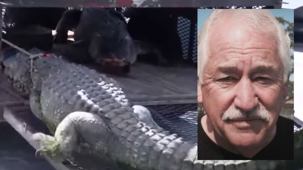 Florida man runs over 11-foot alligator with his truck after seeing it dragging his elderly neighbor into pond