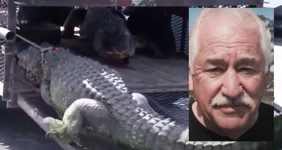 Florida man runs over 11-foot alligator with his truck after seeing it dragging his elderly neighbor into pond