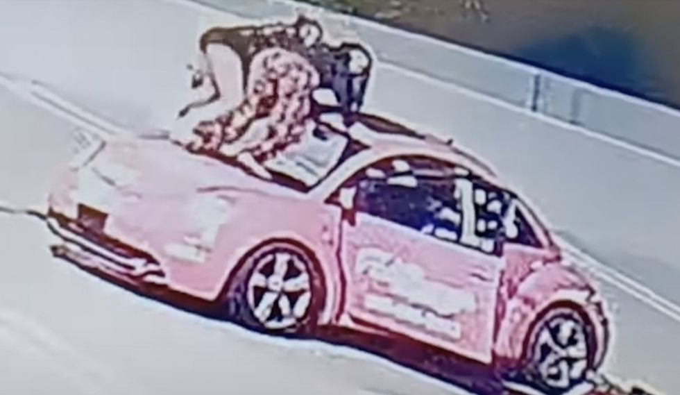 Dumb twerking teens caught on video vandalizing business. Dumber still&;#63; Gang symbols carved into cars lead to arrest.